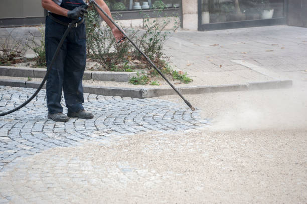 Best Gutter Cleaning  in Stevenson, AL